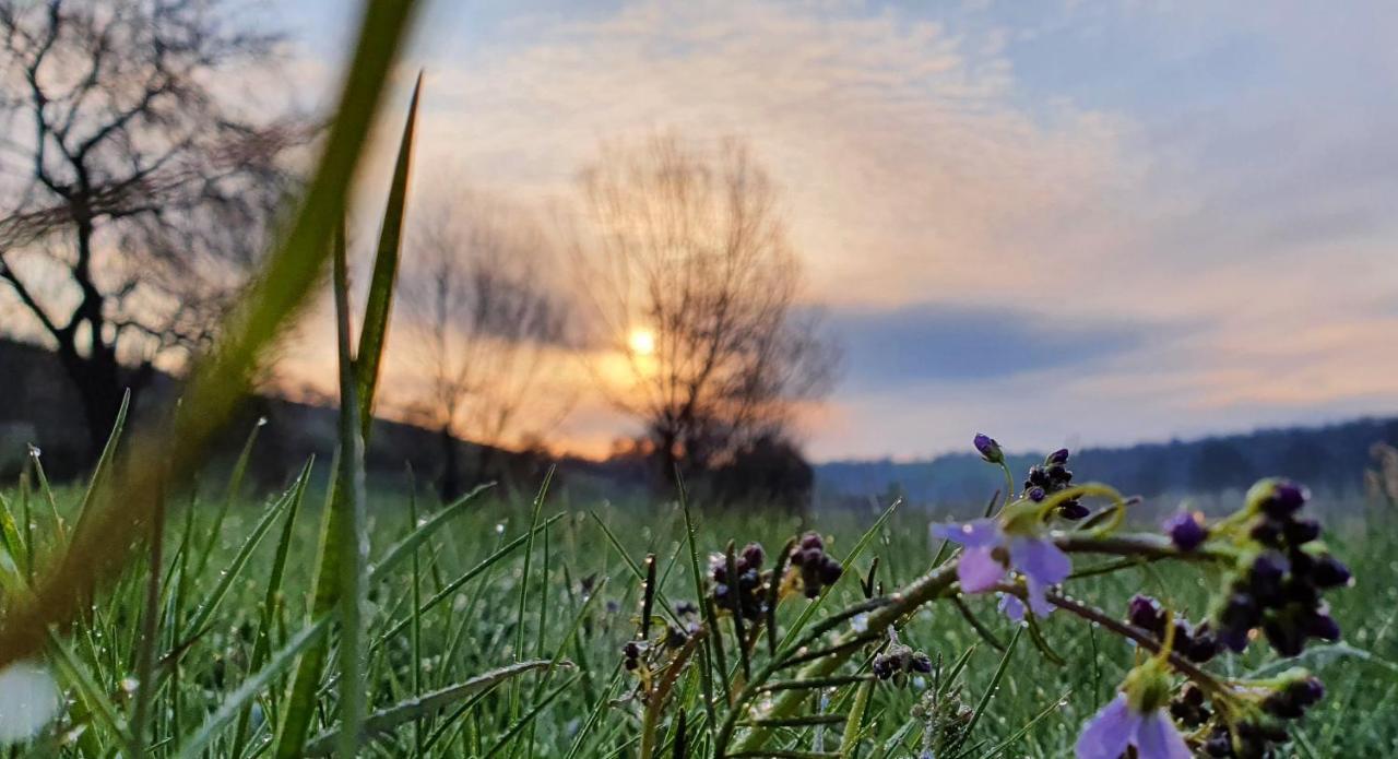 & Drei Lilien Werbach