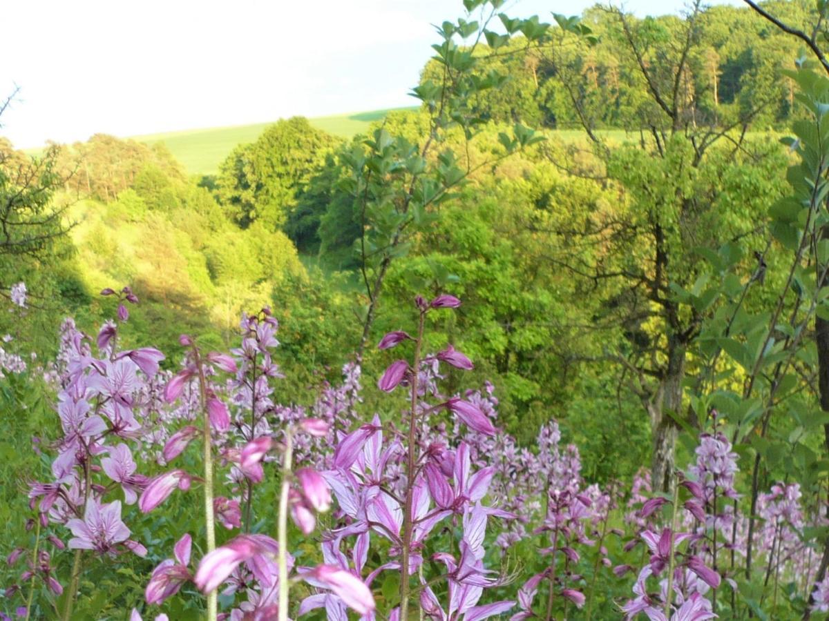 & Drei Lilien Werbach